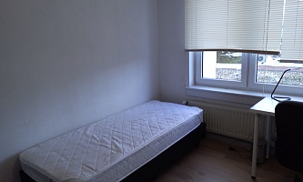 Student room in Tilburg KORV / Korvelplein 1