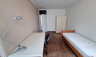 Student room in Tilburg S241 / Statenlaan 1