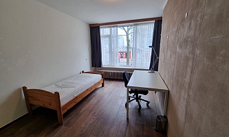 Student room in Tilburg S241 / Statenlaan 4