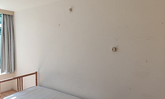 Student room in Tilburg ST161 /Statenlaan 1