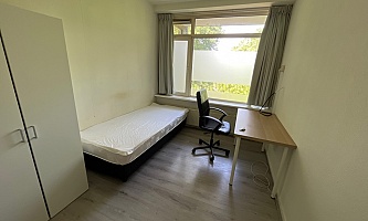 Student room in Tilburg ST293 / Statenlaan 1