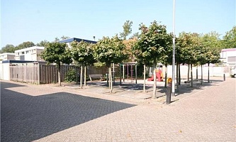 Studentenkamer in Tilburg HIN / Hindemithstraat 5