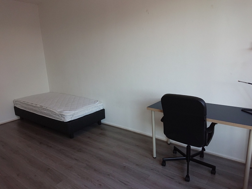 Student room in Tilburg ST57 / Statenlaan Picture 6