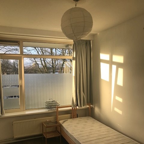 Student room in Tilburg ST143 / Statenlaan Picture 5
