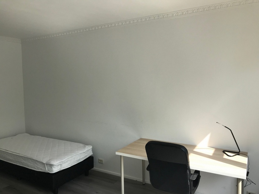 Student room in Tilburg ST203 / Statenlaan Picture 6