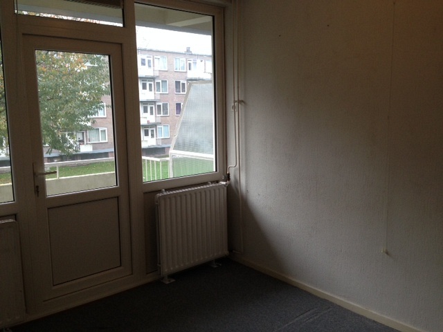 Student room in Tilburg E171 / Europalaan Picture 1