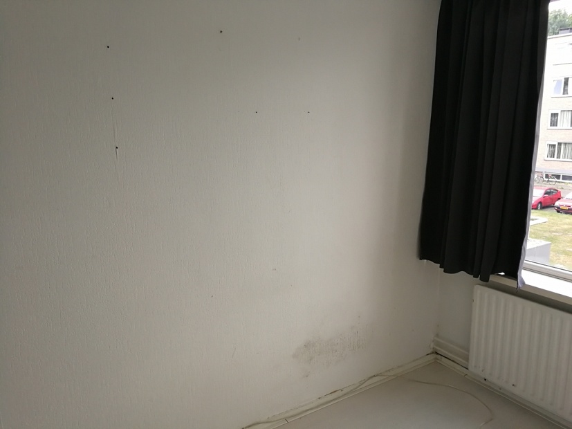 Student room in Tilburg E171 / Europalaan Picture 6