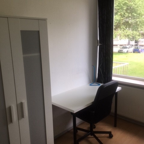 Student room in Tilburg E475 / Europalaan Picture 3