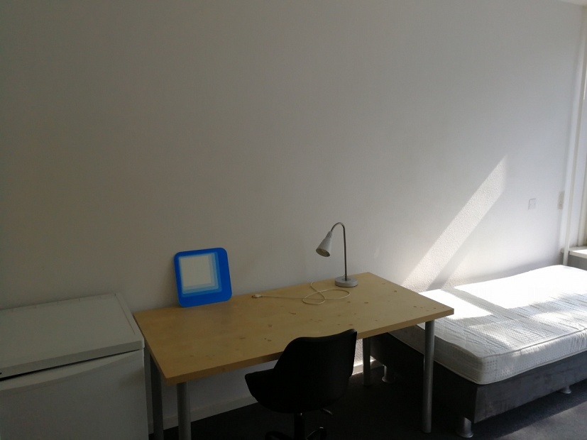Student room in Tilburg S261 / Statenlaan Picture 3