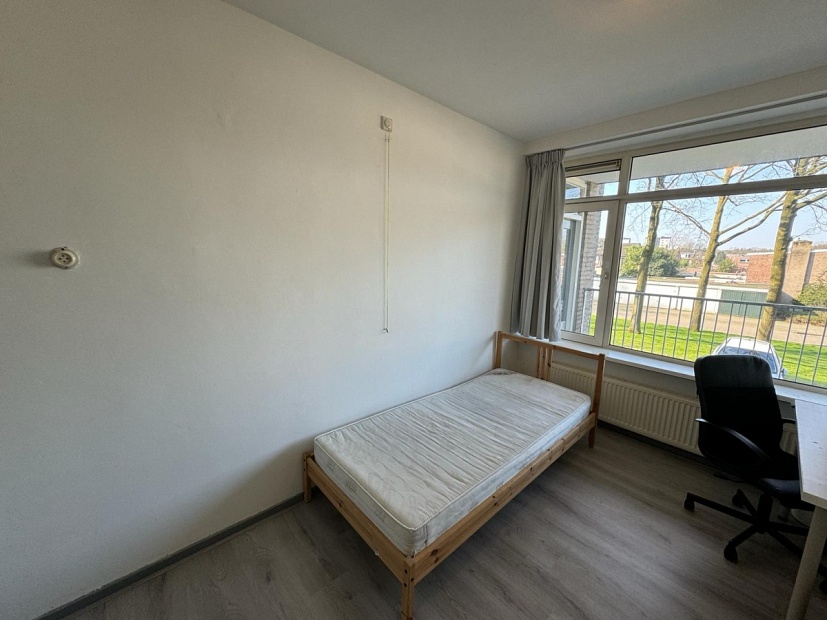 Student room in Tilburg ST195 / Statenlaan Picture 2